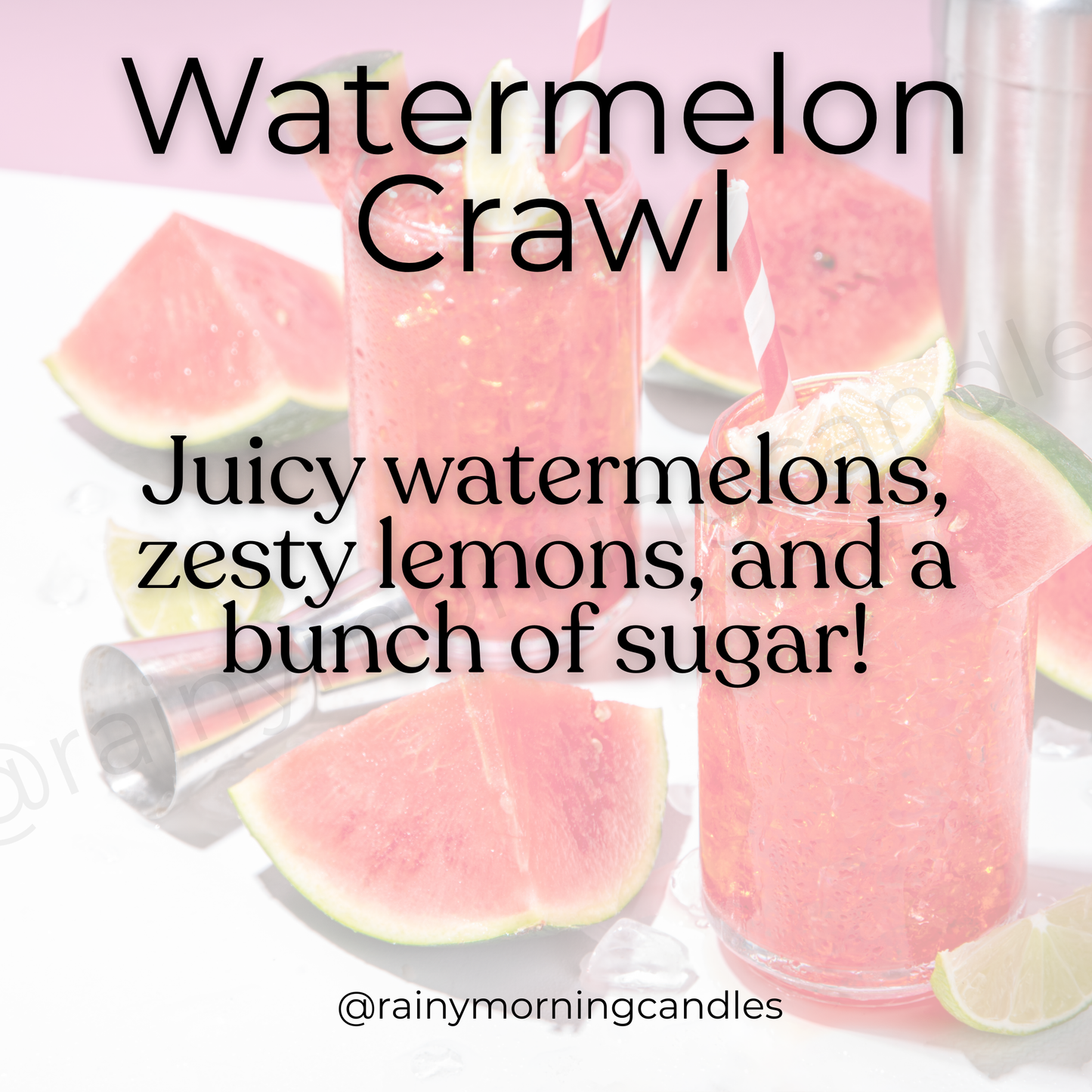 Watermelon Crawl | Summer Snap Bar Wax Melts