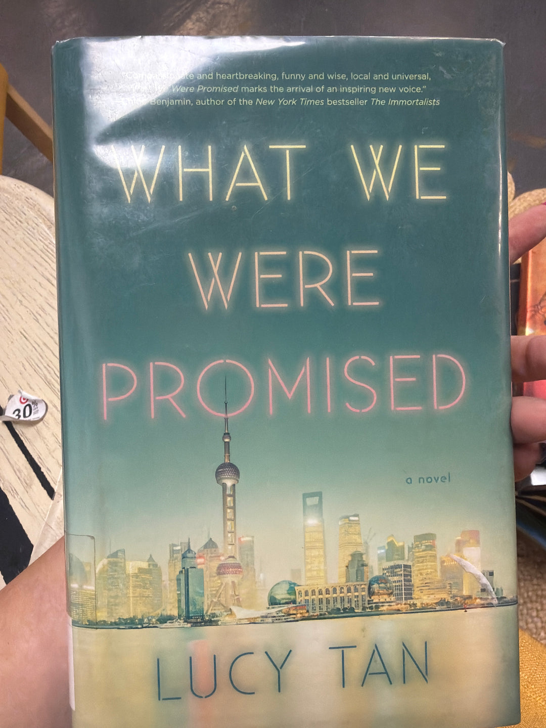 What we were promised by Lucy tan