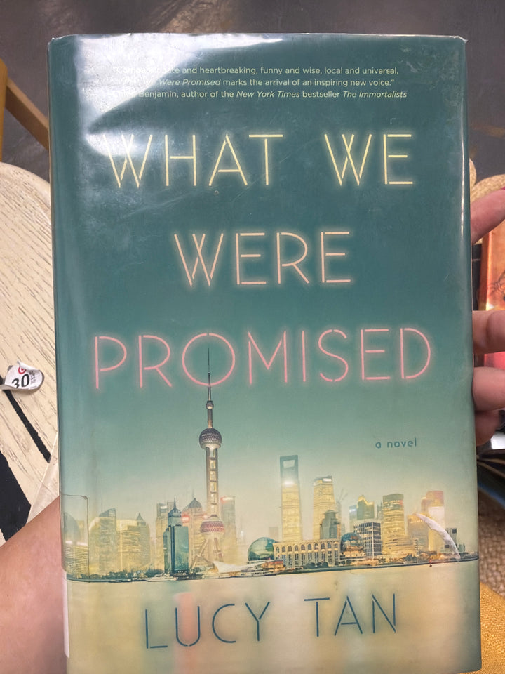 What we were promised by Lucy tan