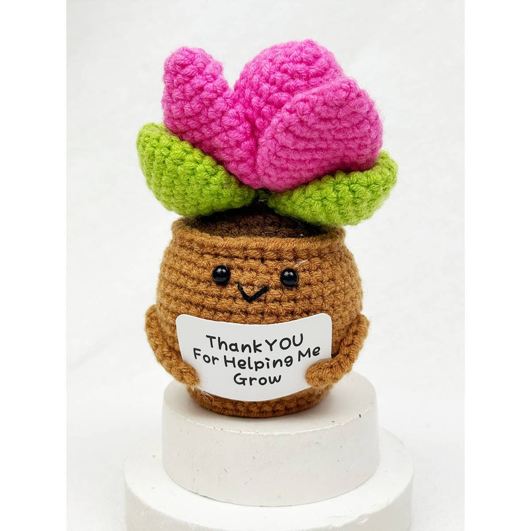 Crochet Potted Succulent KeyChain