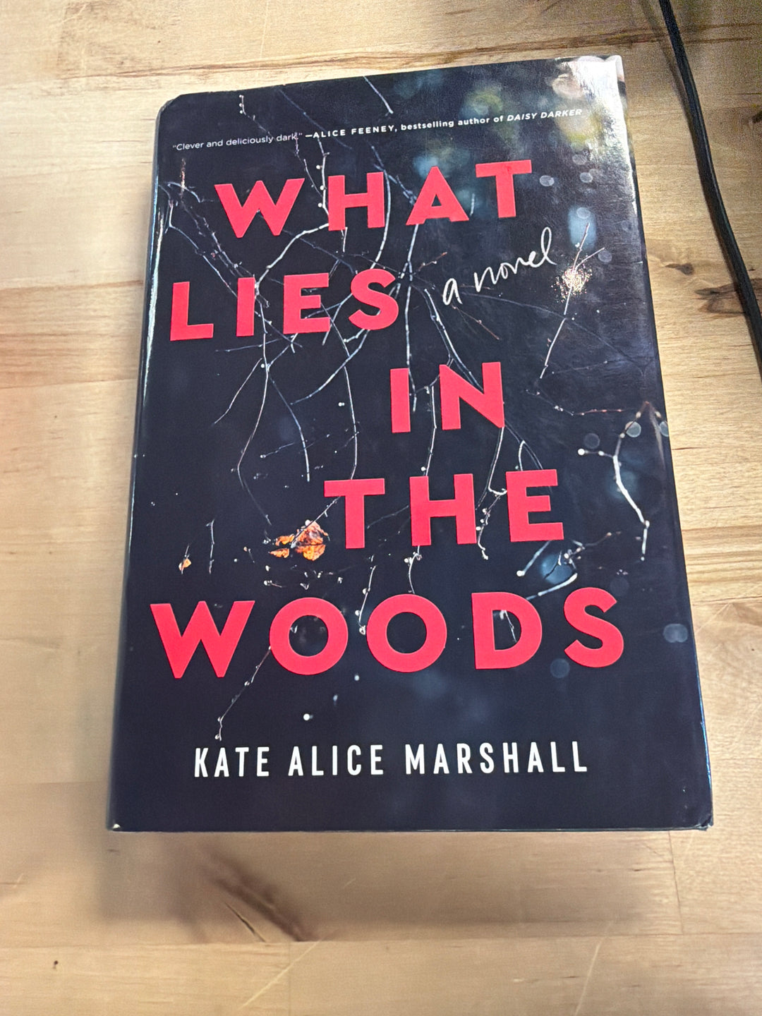 What lies in the woods by Kate Alice