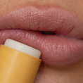Load image into Gallery viewer, Lip Balm - Wild Honey
