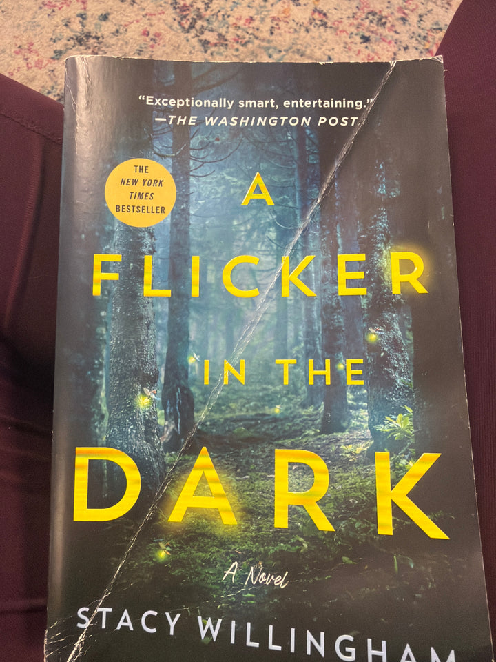 A Flicker in the Dark- Stacy Willingham