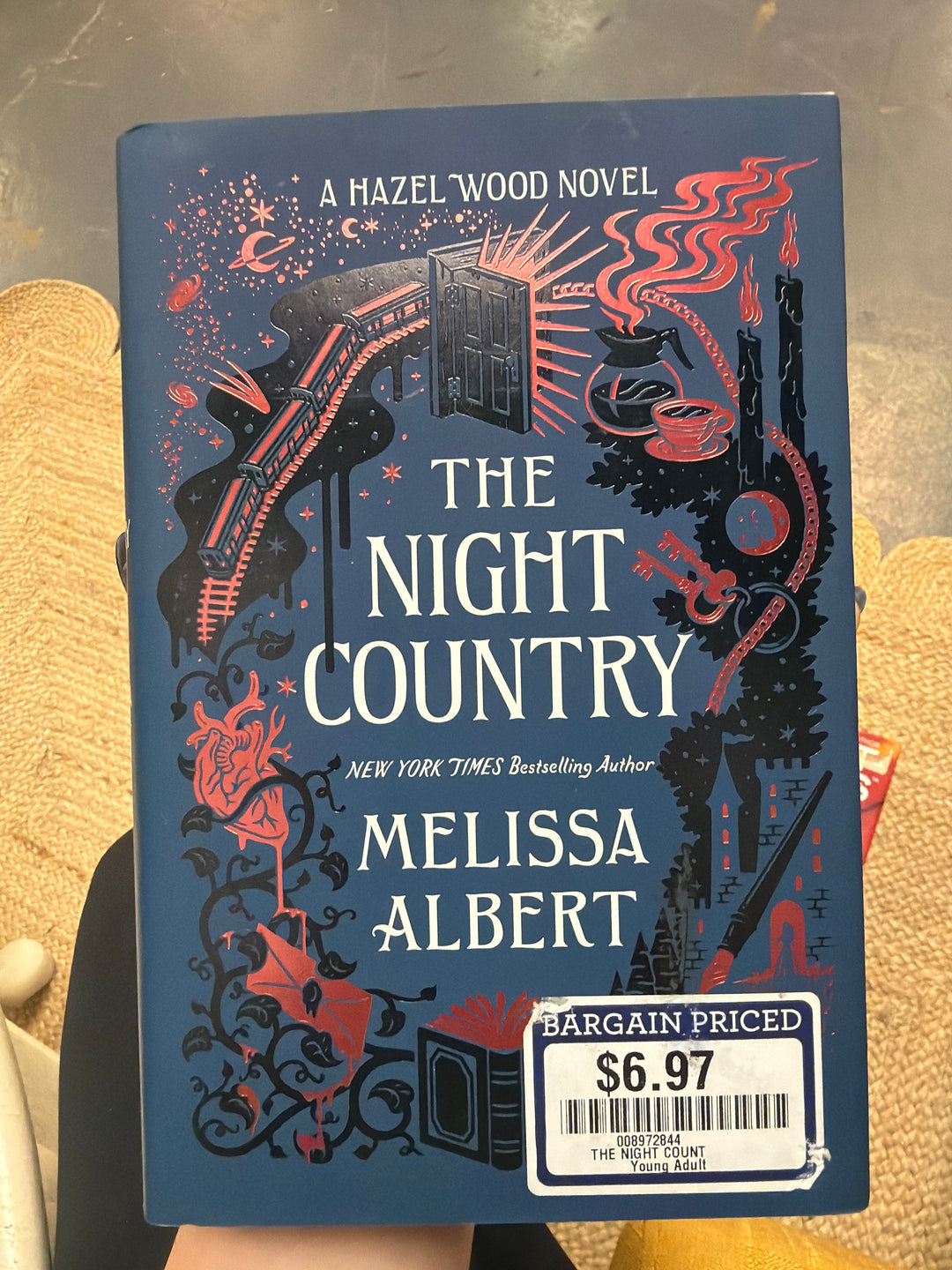 The night country by Melissa Albert