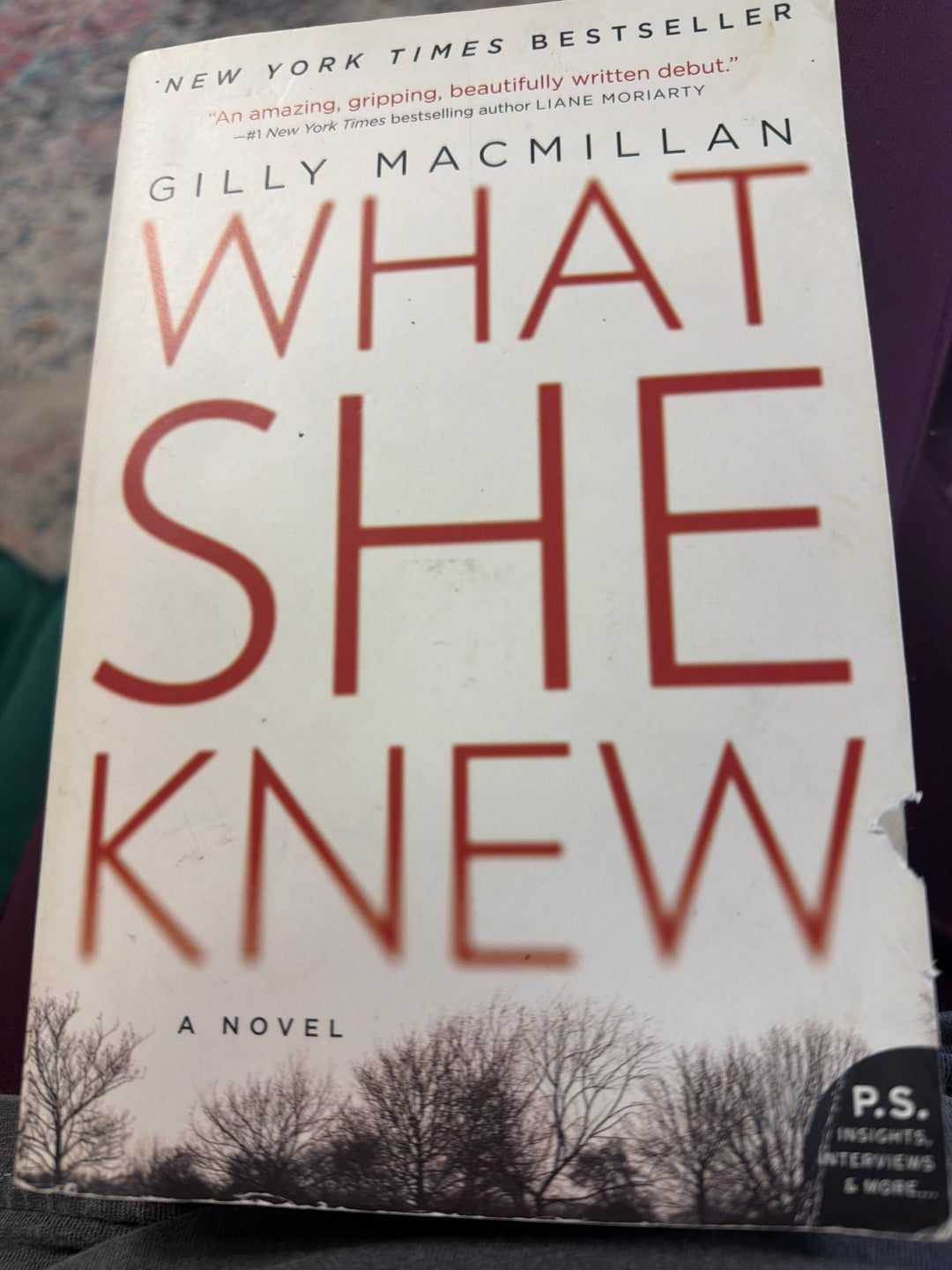 What She Knew- Gilly Macmillan