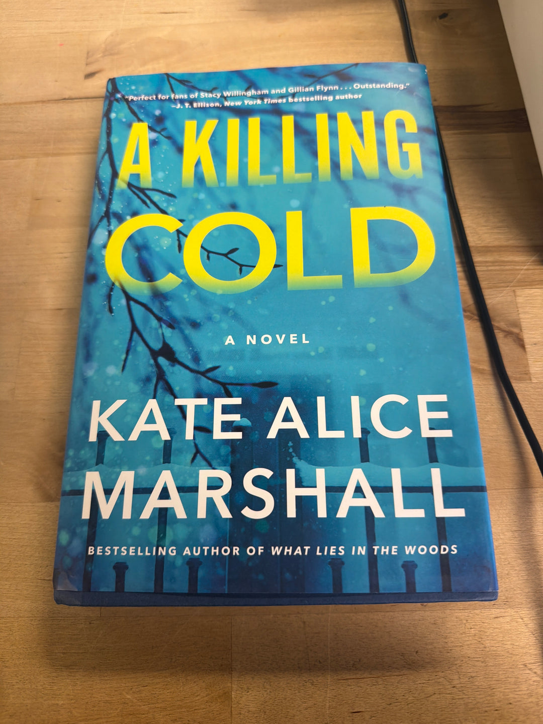 A killing cold by Kate Alice