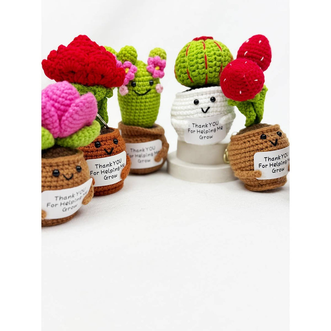 Crochet Potted Succulent KeyChain