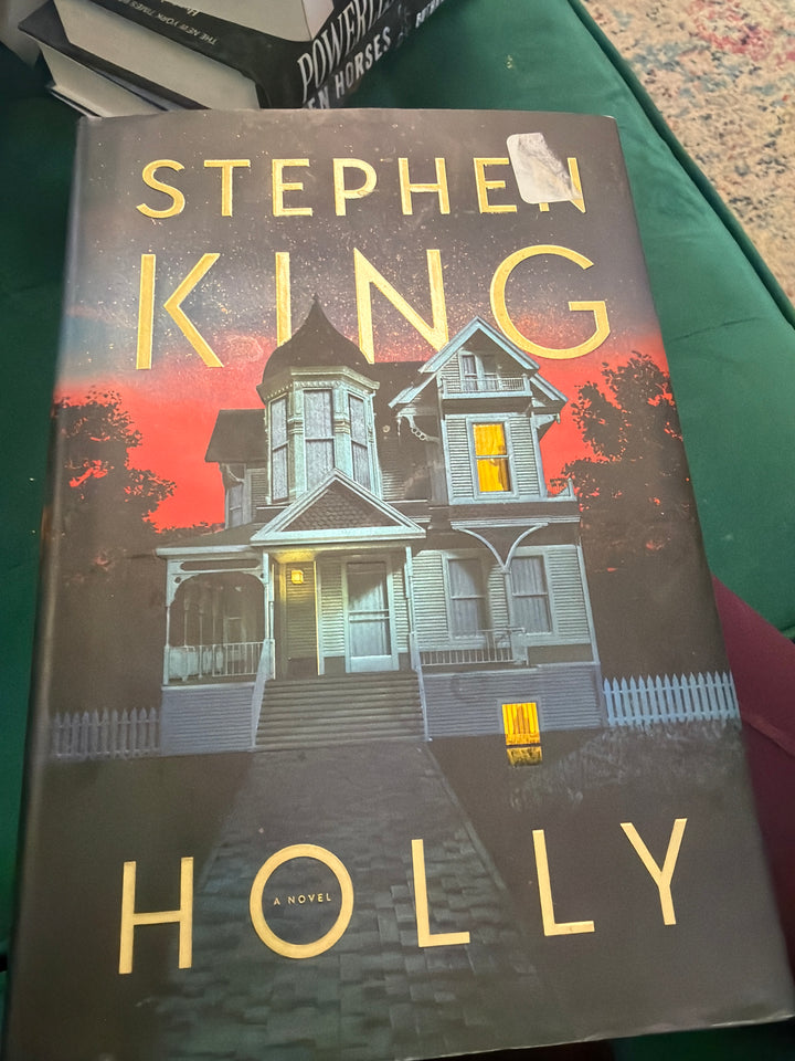 Holly by Stephen King