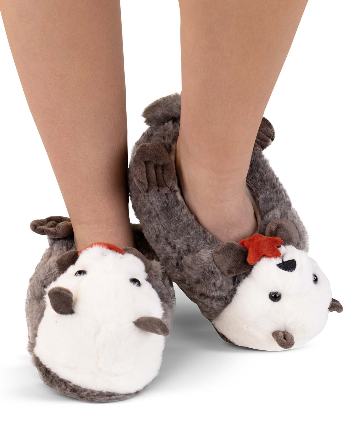 Otter Slipper: L
