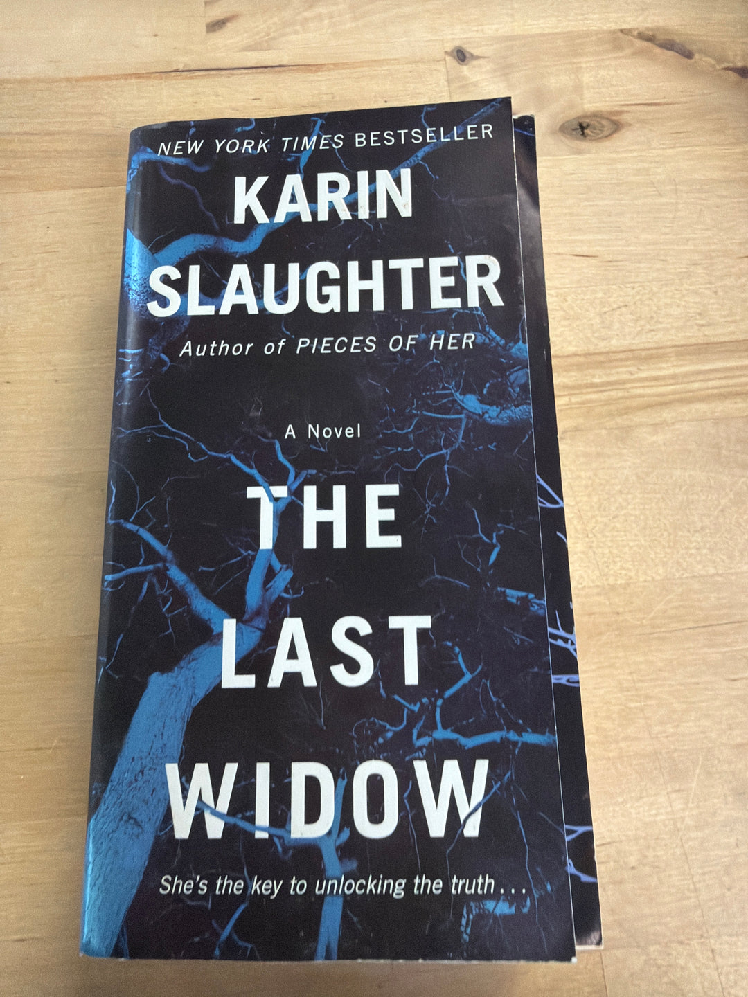 Karen slaughter the last windows