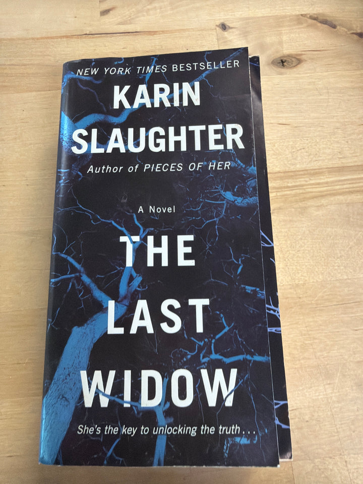 Karen slaughter the last windows