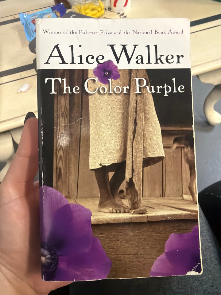 The color purple by Alice walker