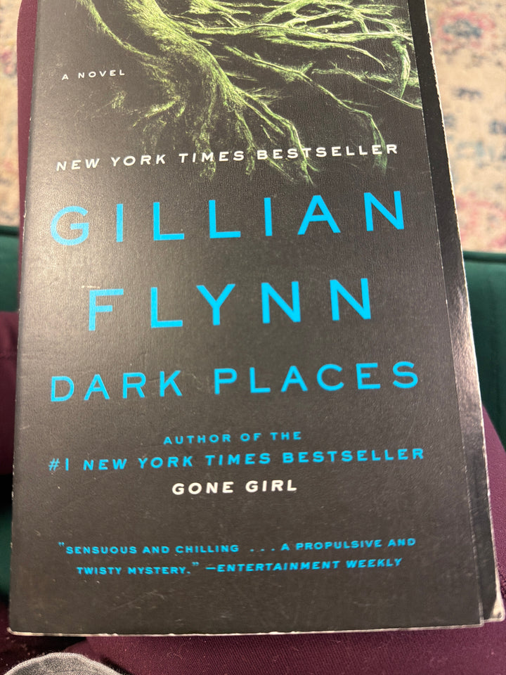 Dark Places-Gillian Flynn
