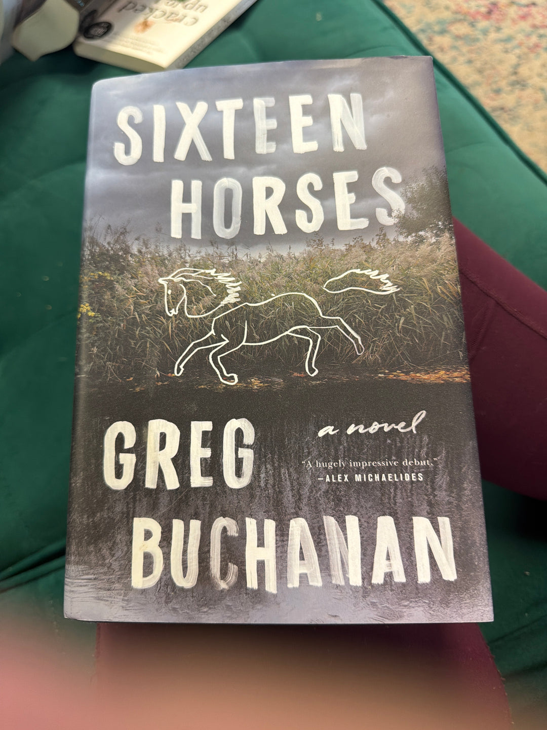Sixteen horses by Greg Buchanan