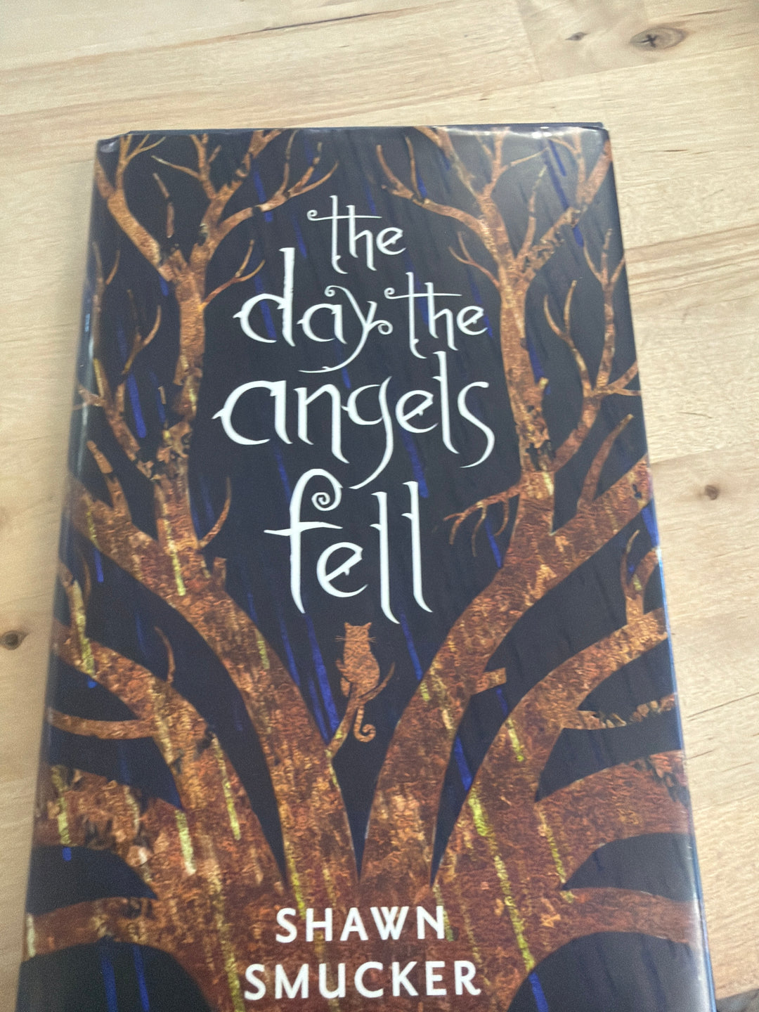 The day the angels fell by Shawn smucker