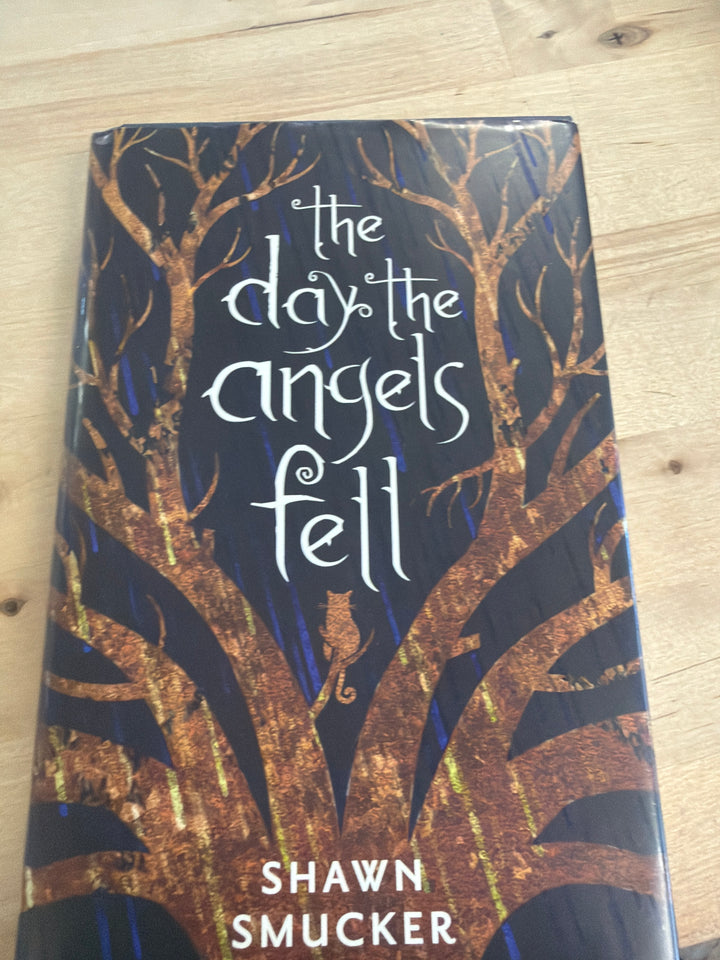 The day the angels fell by Shawn smucker