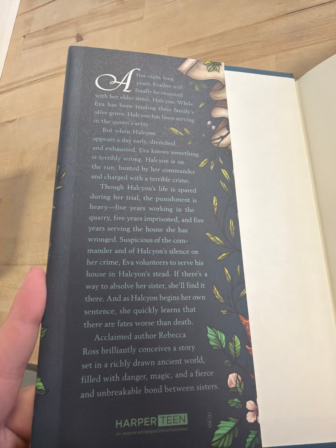 Sisters of Sword & Song by Rebecca Ross