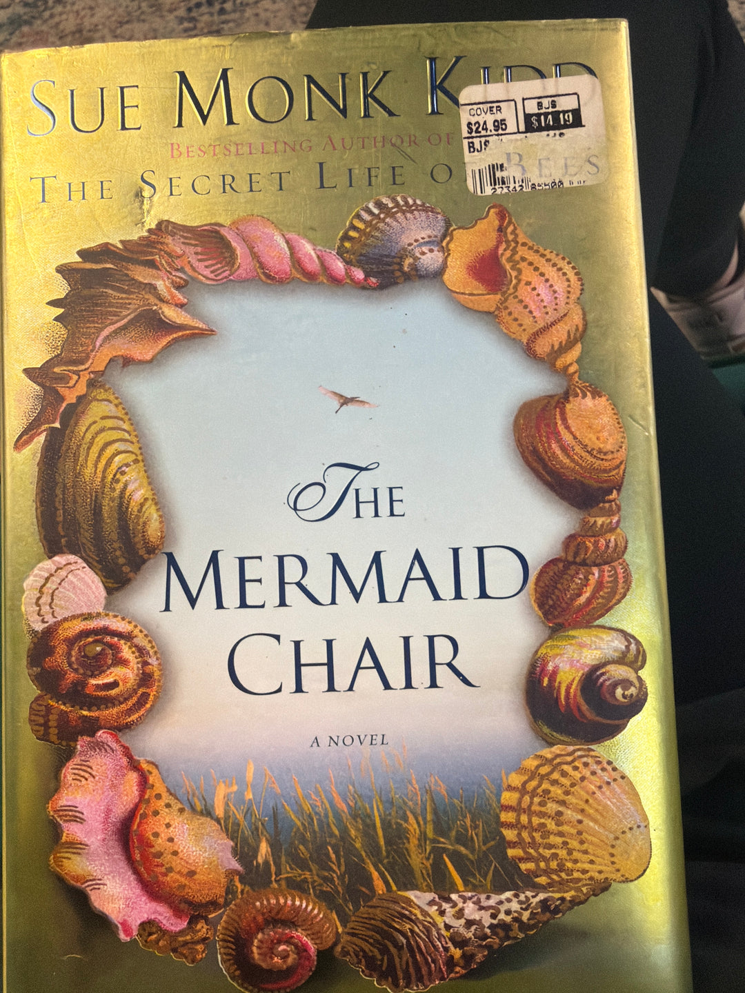 The mermaid chair by Sue Monk kidd￼