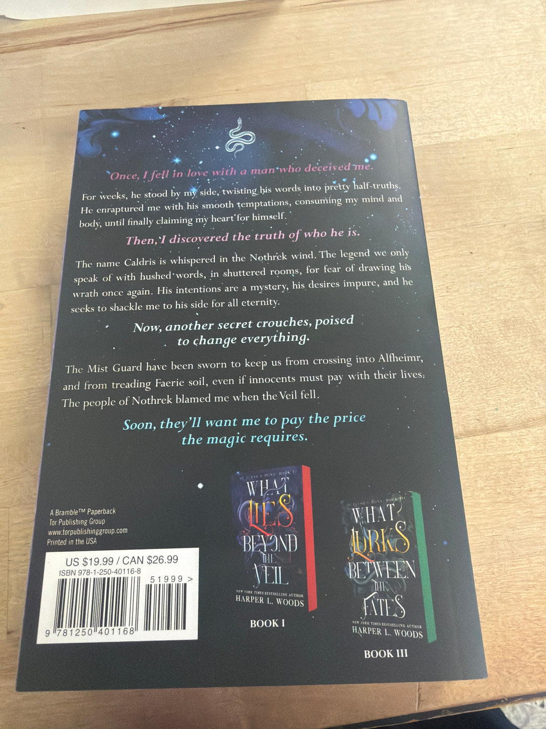 What hunts inside the shadows by Harper L woods