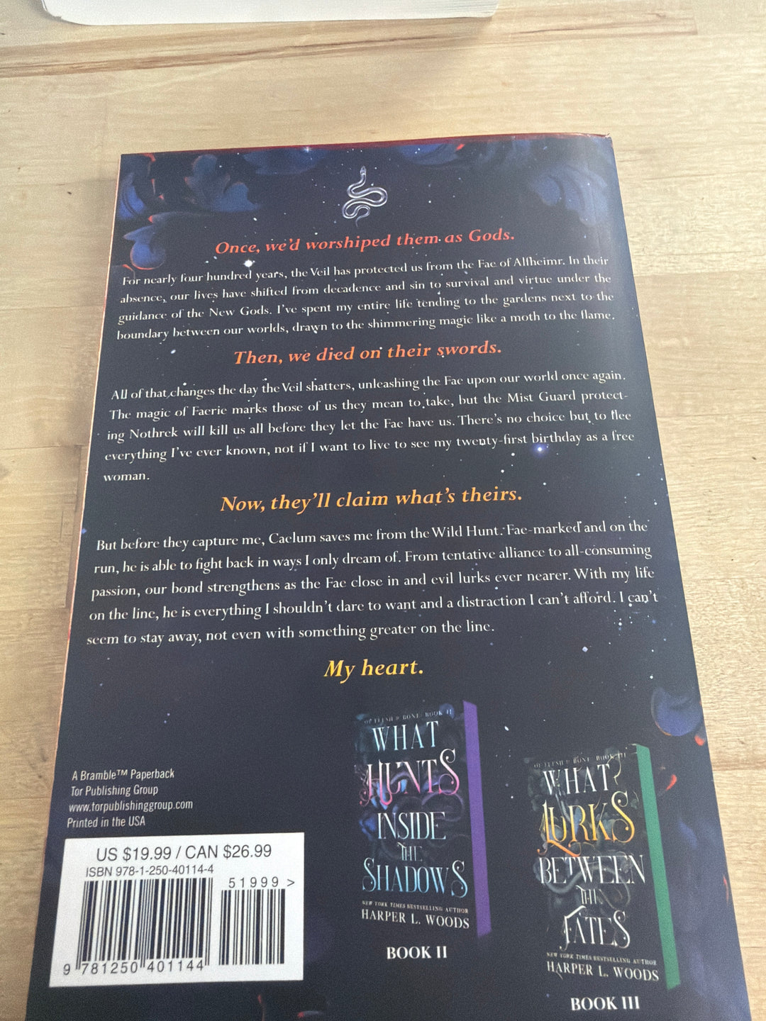 What lies beyond the Veil by Harper L Woods ￼