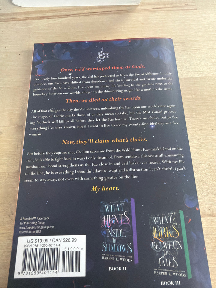 What lies beyond the Veil by Harper L Woods ￼