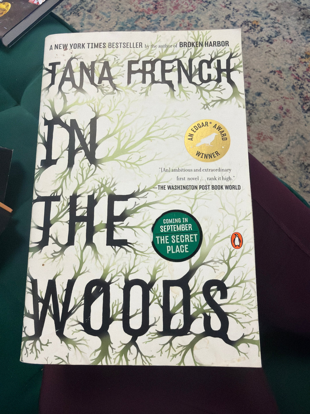In the Woods by Tana French
