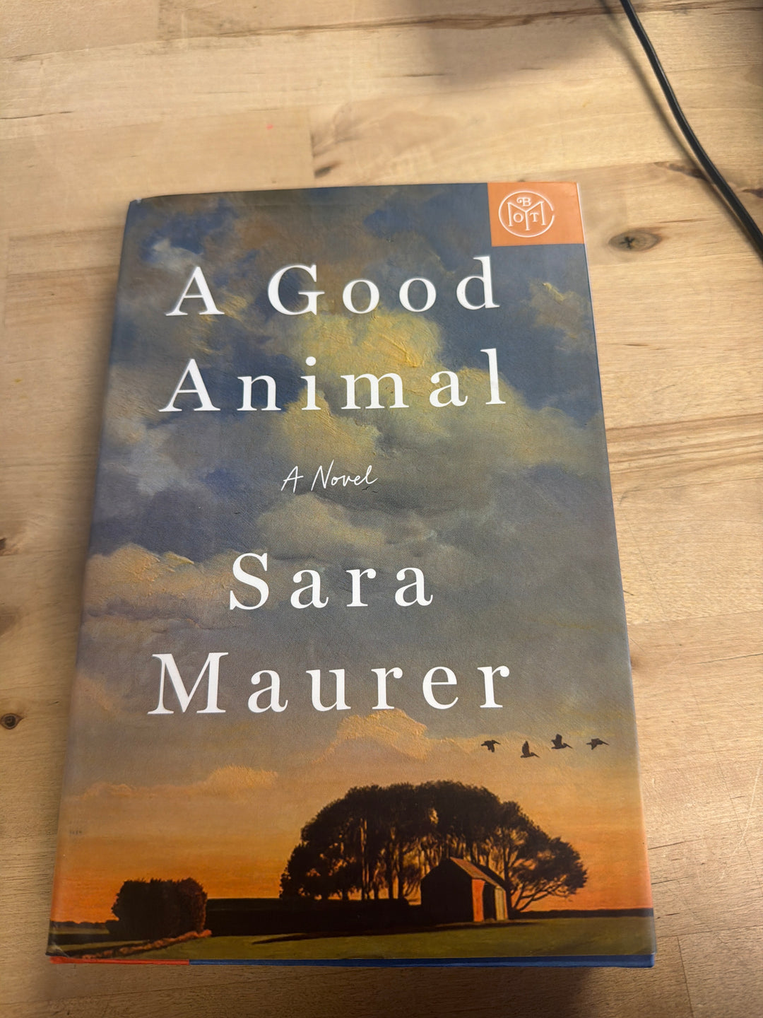A good animal by Sara Maurer
