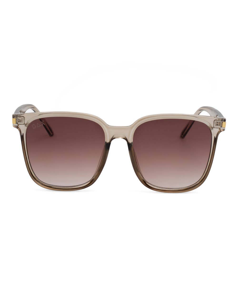 Women's Oversized Square Sunglasses : Brown