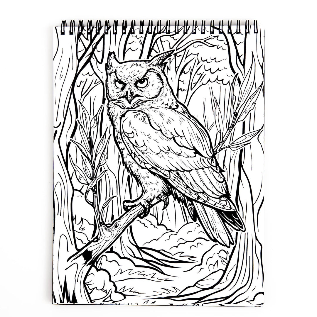 Waiting for the Night Coloring Book