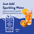 Load image into Gallery viewer, Sugar Free Orange Soda Syrup

